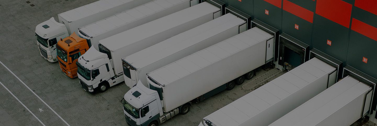 LOGISTICA MAVIARA, S.L